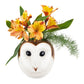 Veggvasi - Barn owl