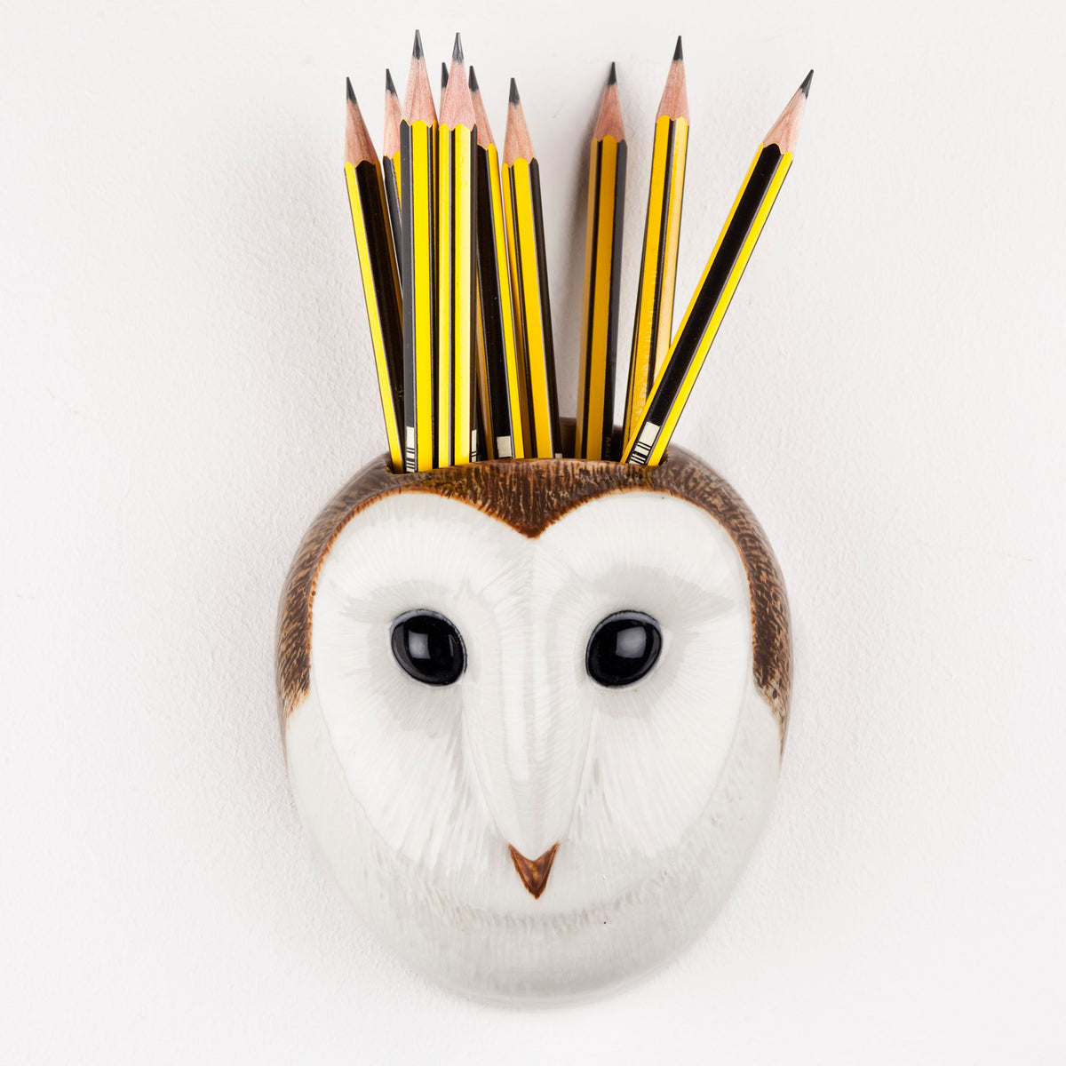 Veggvasi - Barn owl