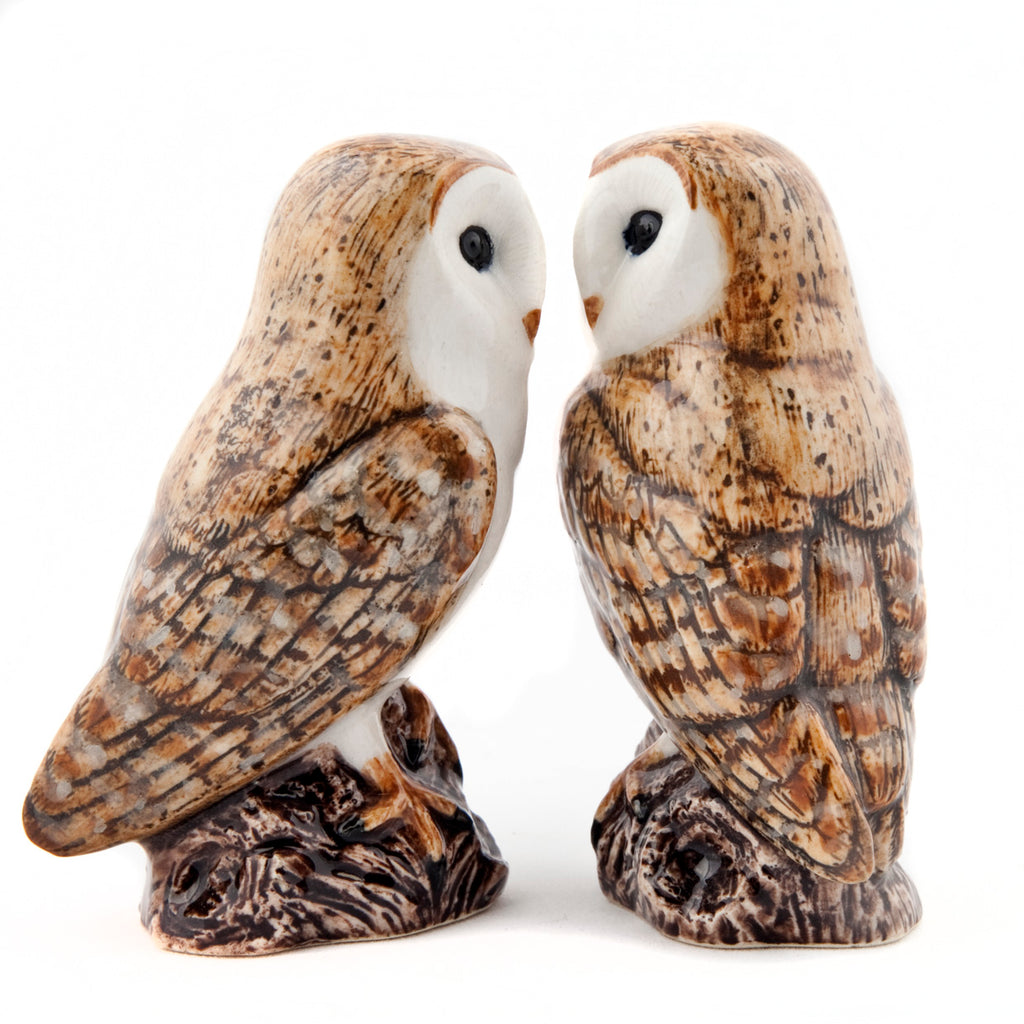 Salt og pipar sett - Barn Owl