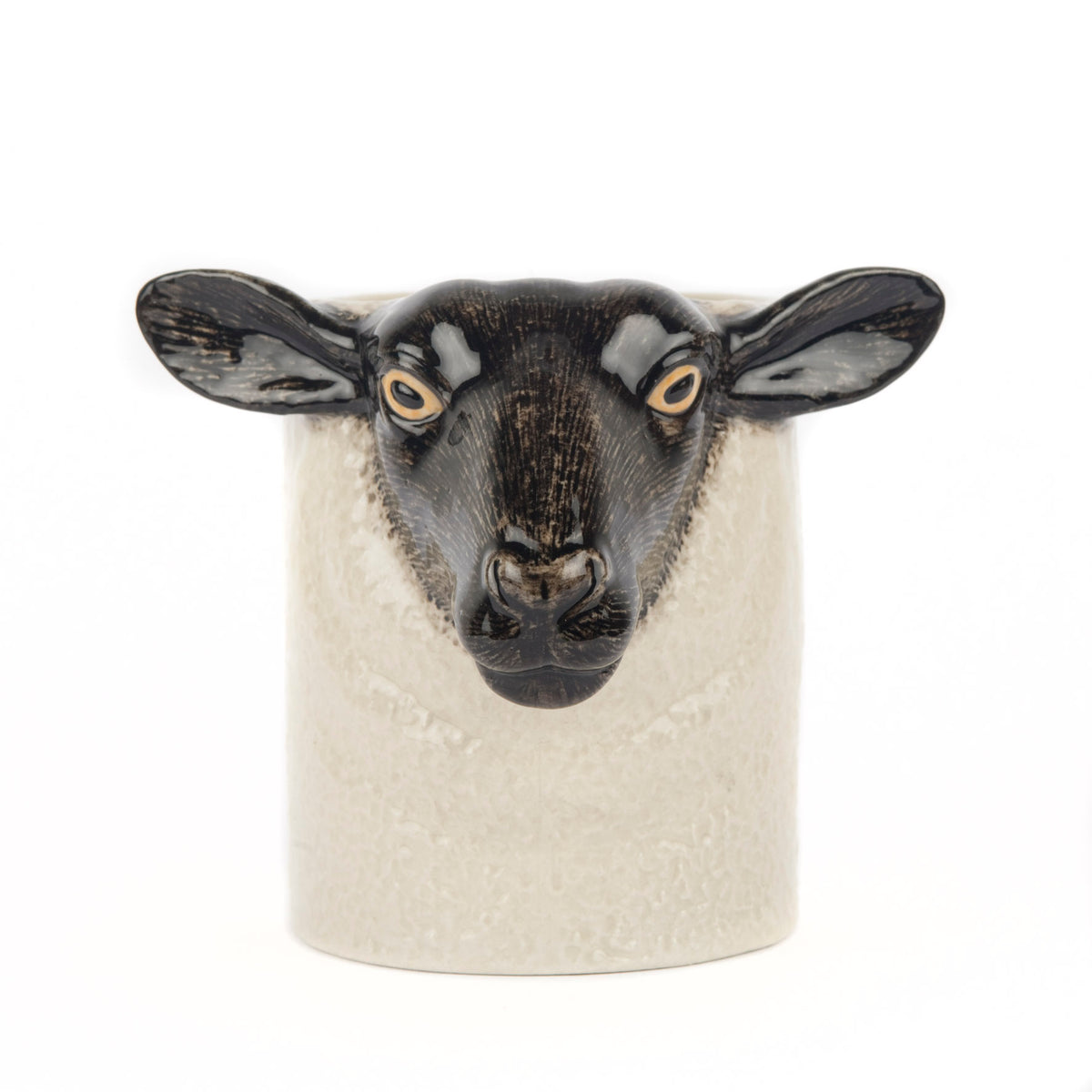 Ílát - Black Faced Suffolk Sheep