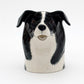 Mjólkurkanna - Border Collie