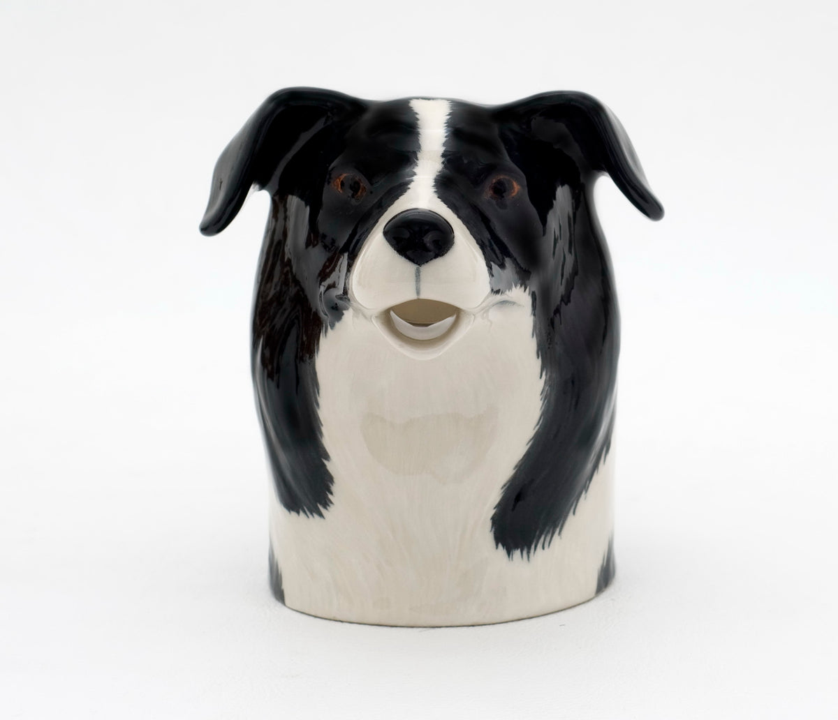 Mjólkurkanna - Border Collie