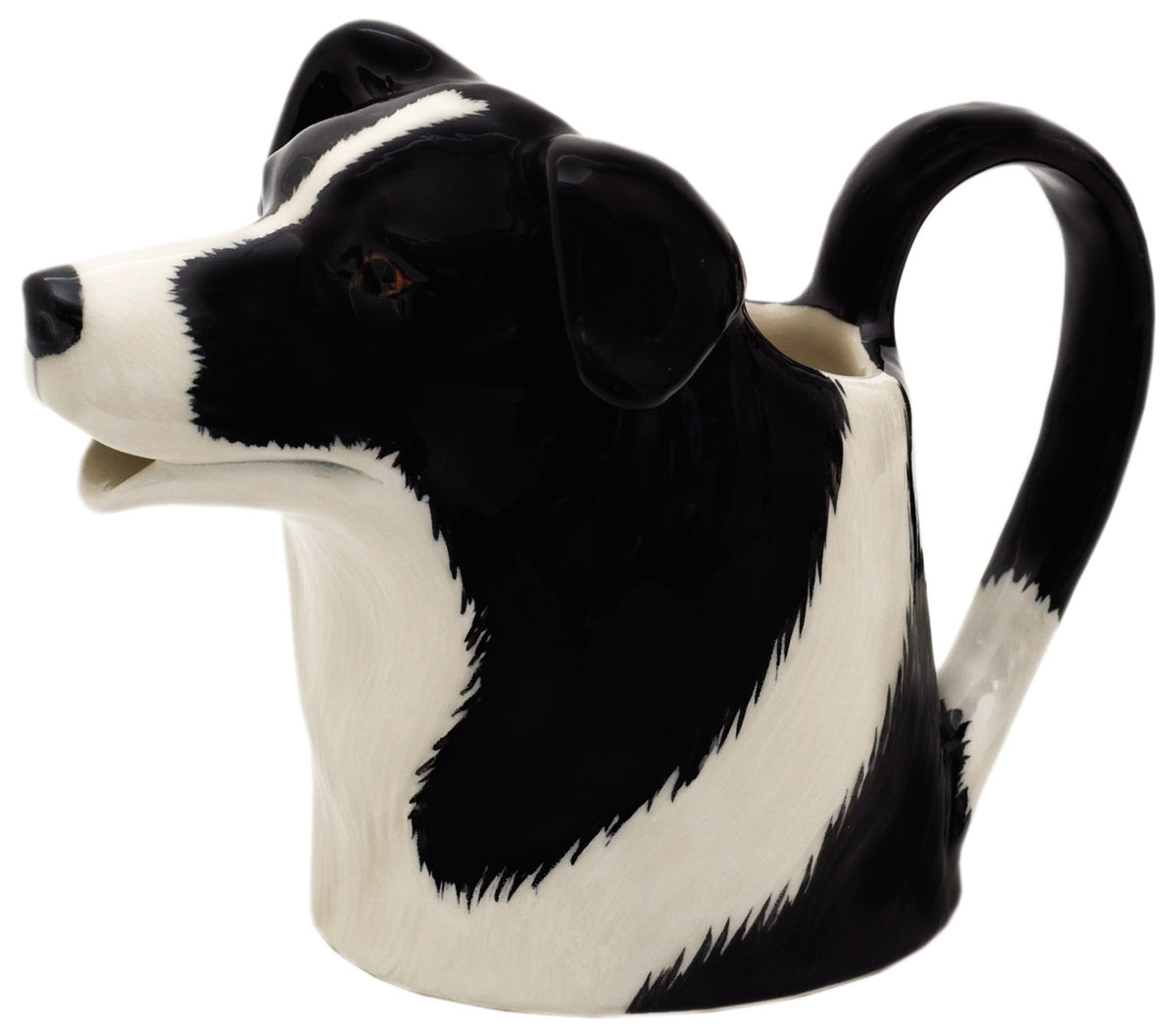 Mjólkurkanna - Border Collie