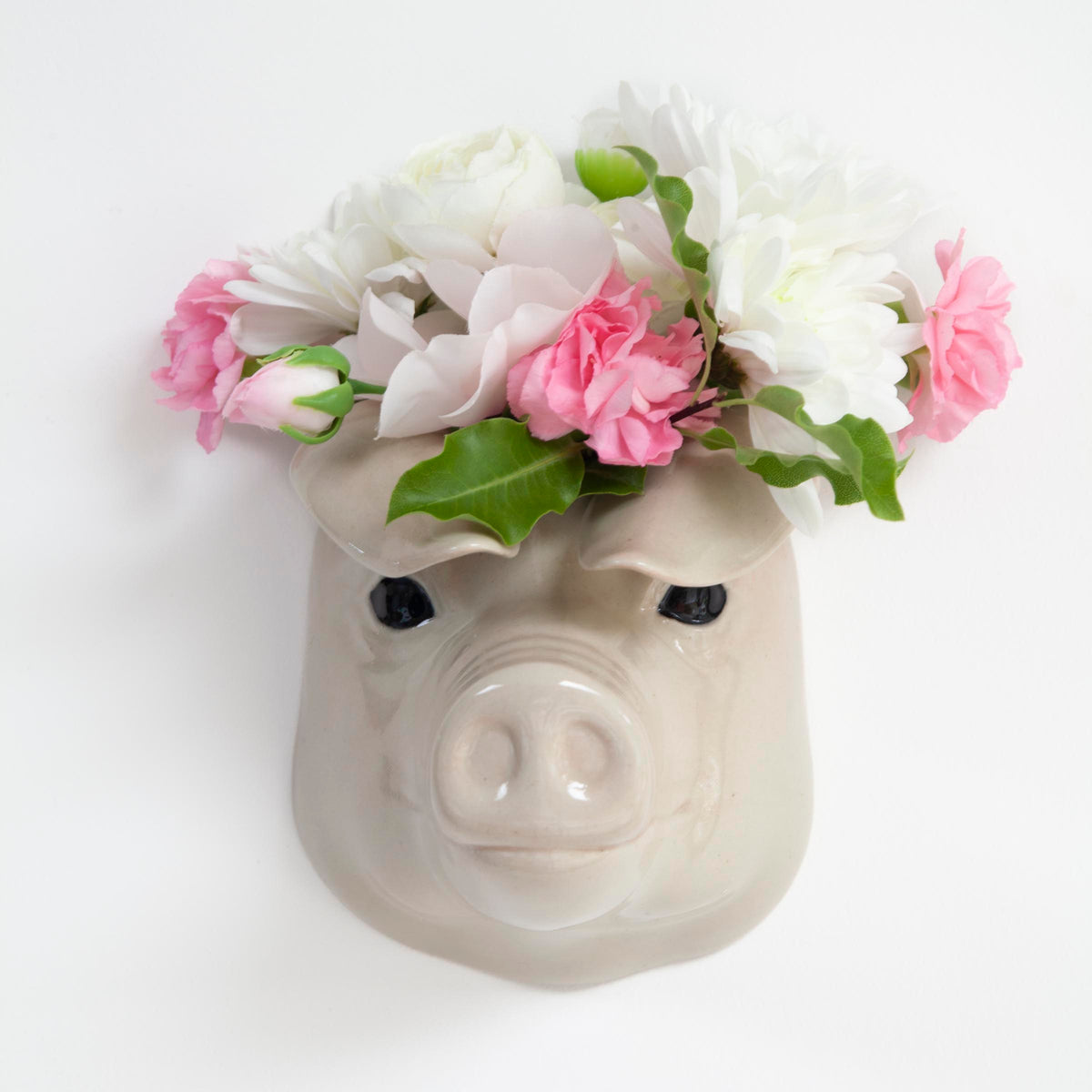 Veggvasi - British Lop Pig