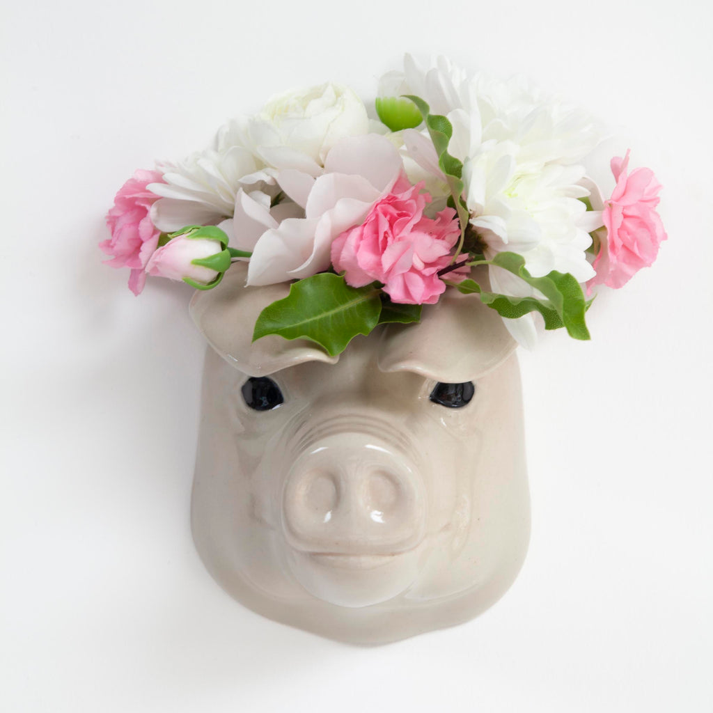 Veggvasi - British Lop Pig