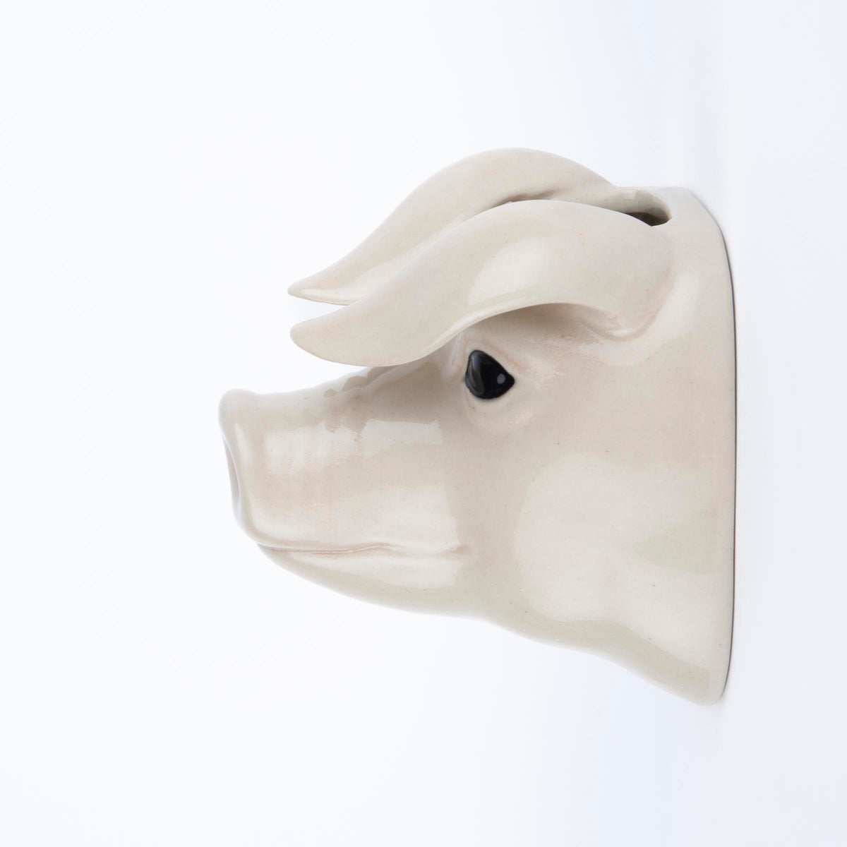 Veggvasi - British Lop Pig