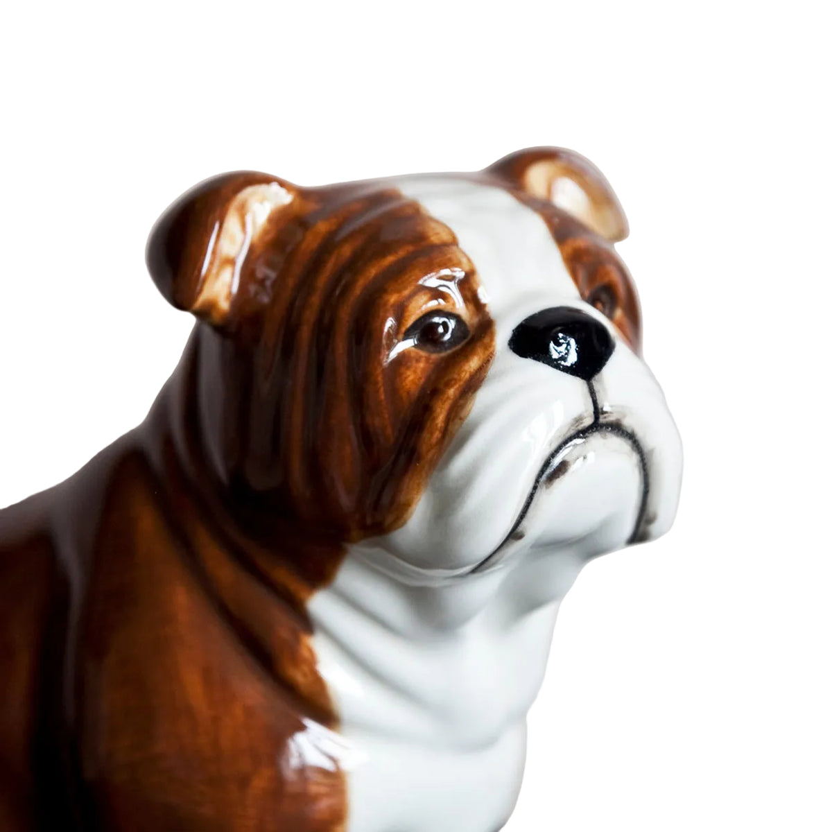 Sparibaukur - English bulldog