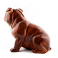Sparibaukur - English bulldog