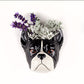 Veggvasi - French bulldog