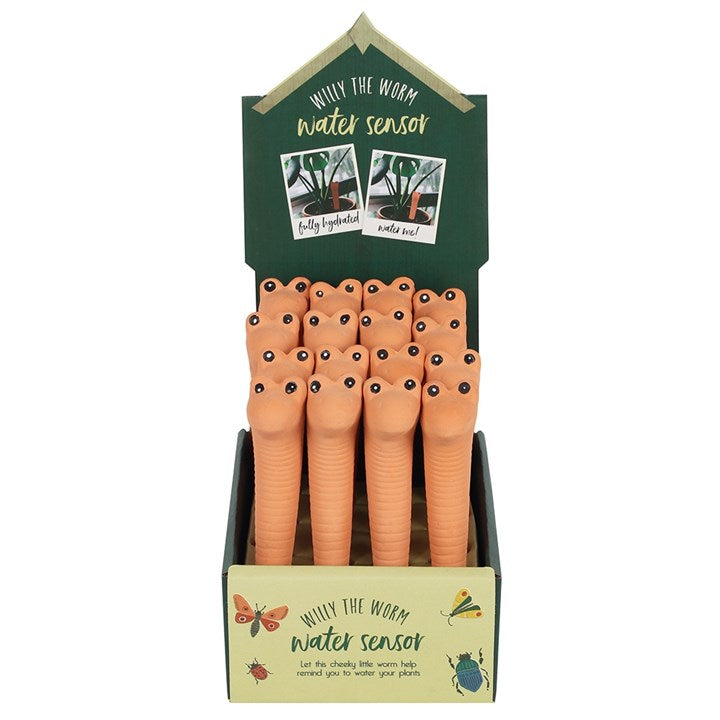 Willy blómapottaormur