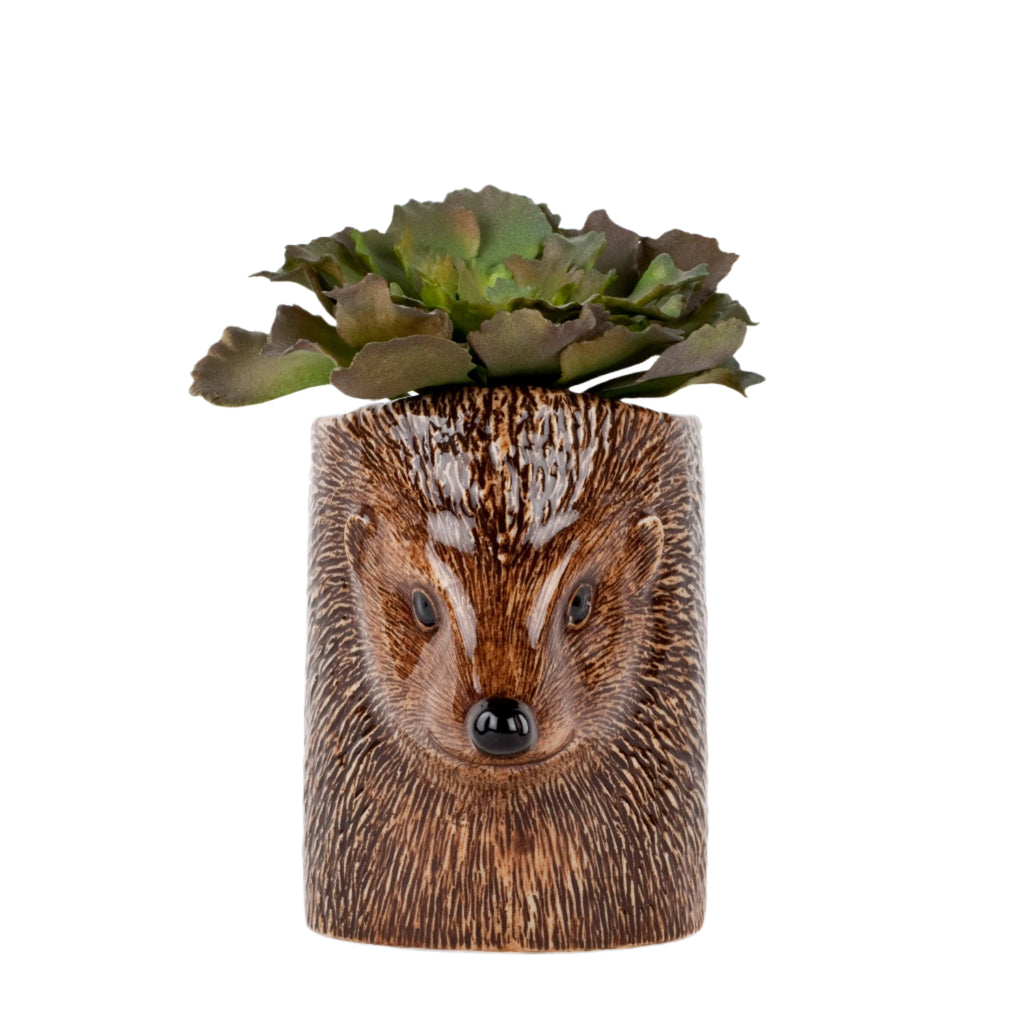 Ílát - Hedgehog