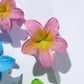 Hawaiian Flower Clip - Paradise Pink