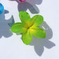 Hawaiian Flower Clip - Tropical