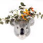 Veggvasi - Koala