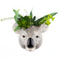 Veggvasi - Koala
