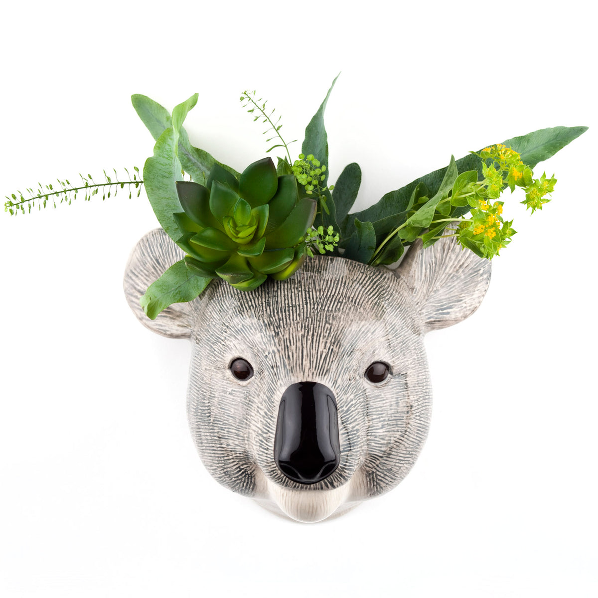 Veggvasi - Koala