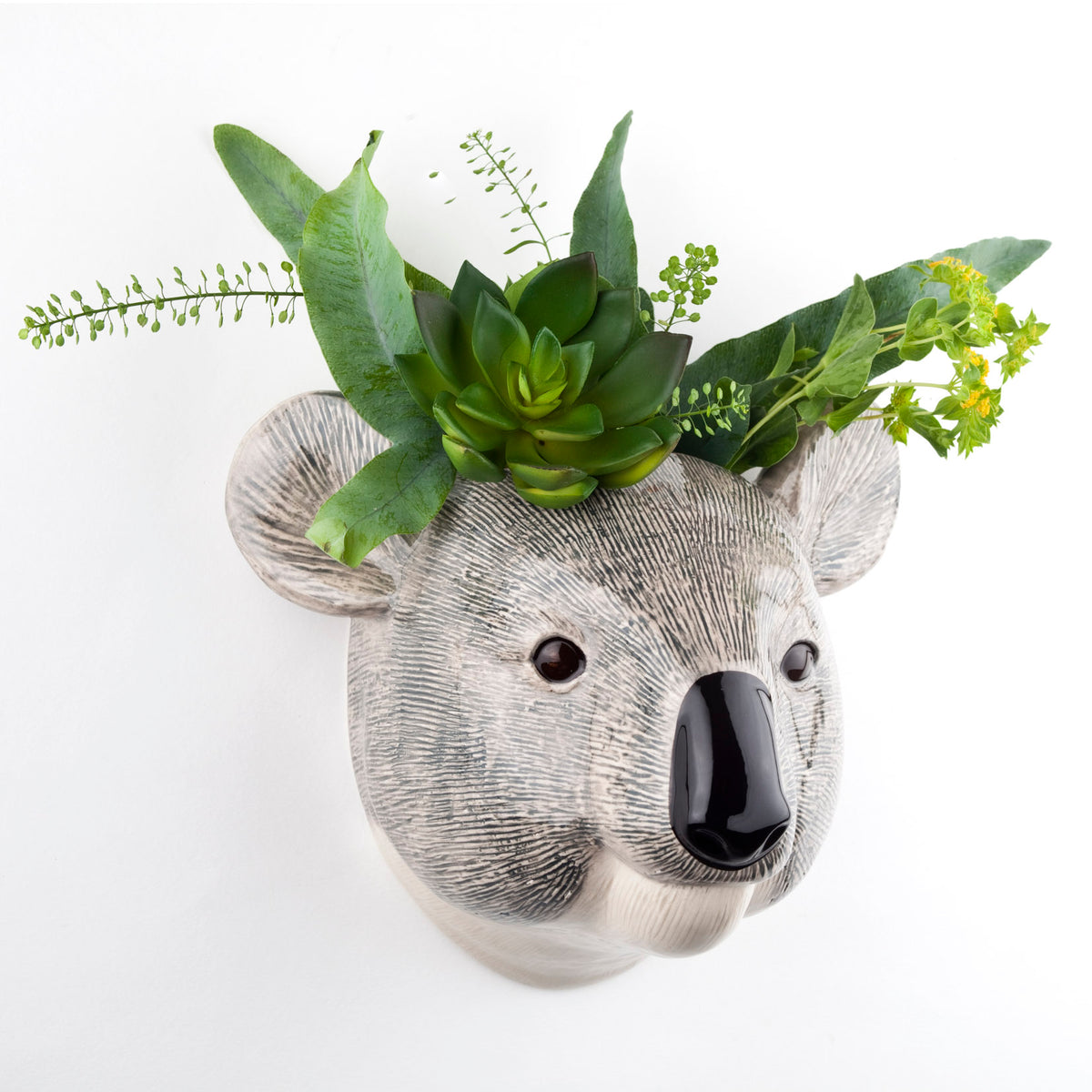 Veggvasi - Koala
