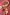 Salatáhöld melamine - Cream/Pink hearts