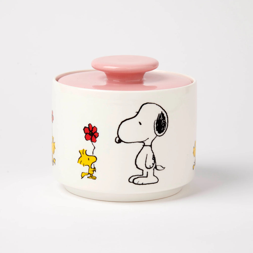 Snoopy nammikrús