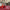 Salt & pipar staukur - bobbin/red