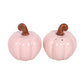 Salt & pipar - Pink Pumpkin