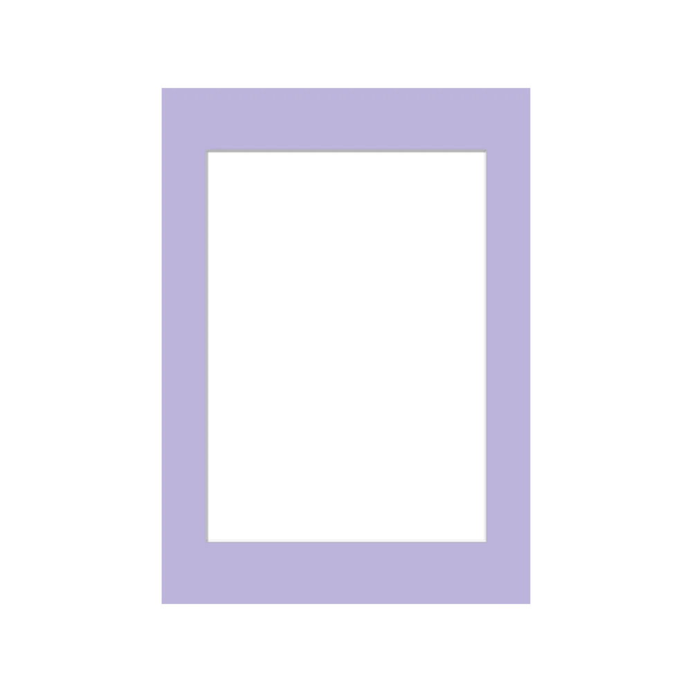 Karton - Lilac