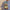 Garðurinn