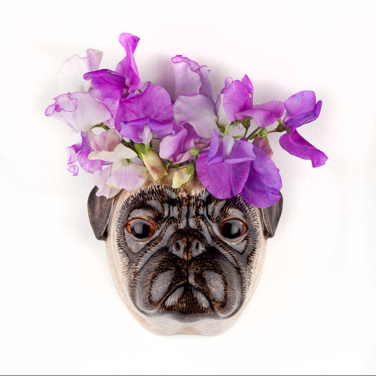 Veggvasi - Pug/Fawn