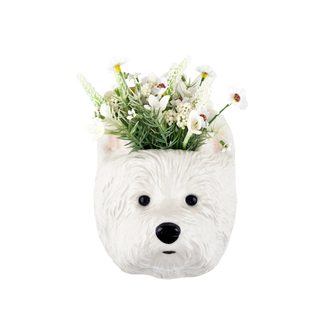 Veggvasi - Westie
