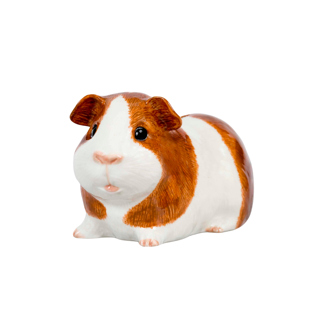 Sparibaukur - Guinea pig dutch