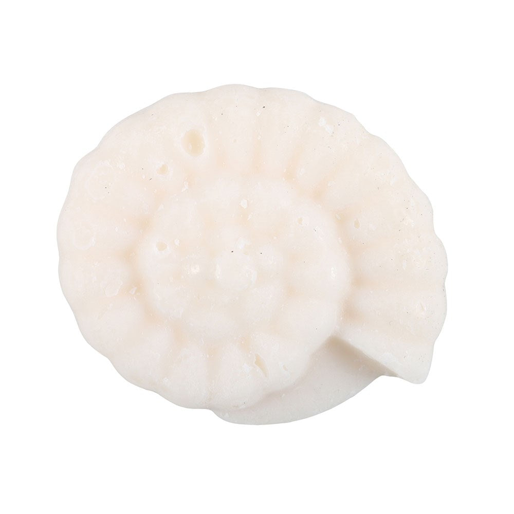 Vaxbiti - Shell/linen