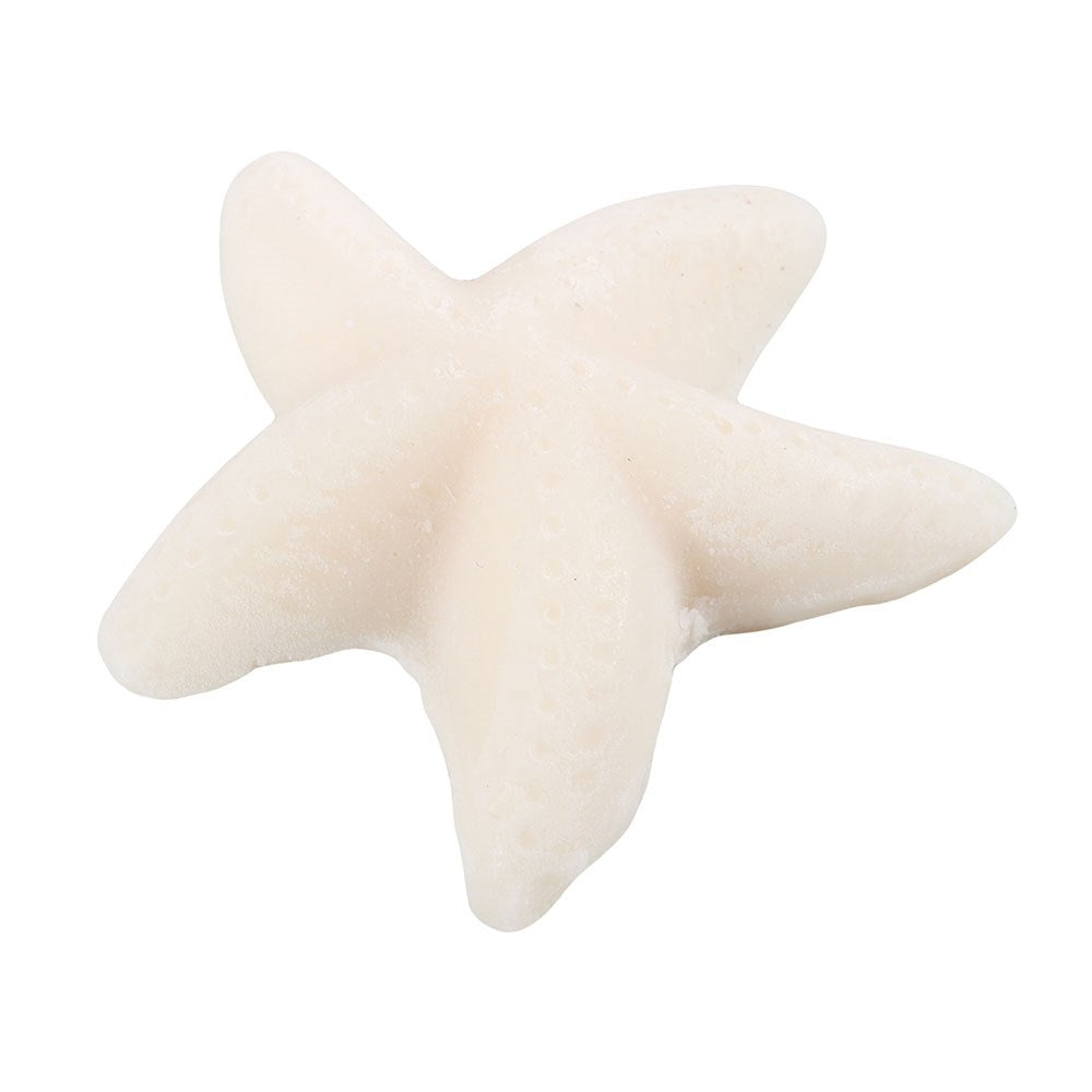 Vaxbiti - Starfish/seasalt and sage