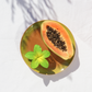 Hawaiian Flower Clip - Tropical