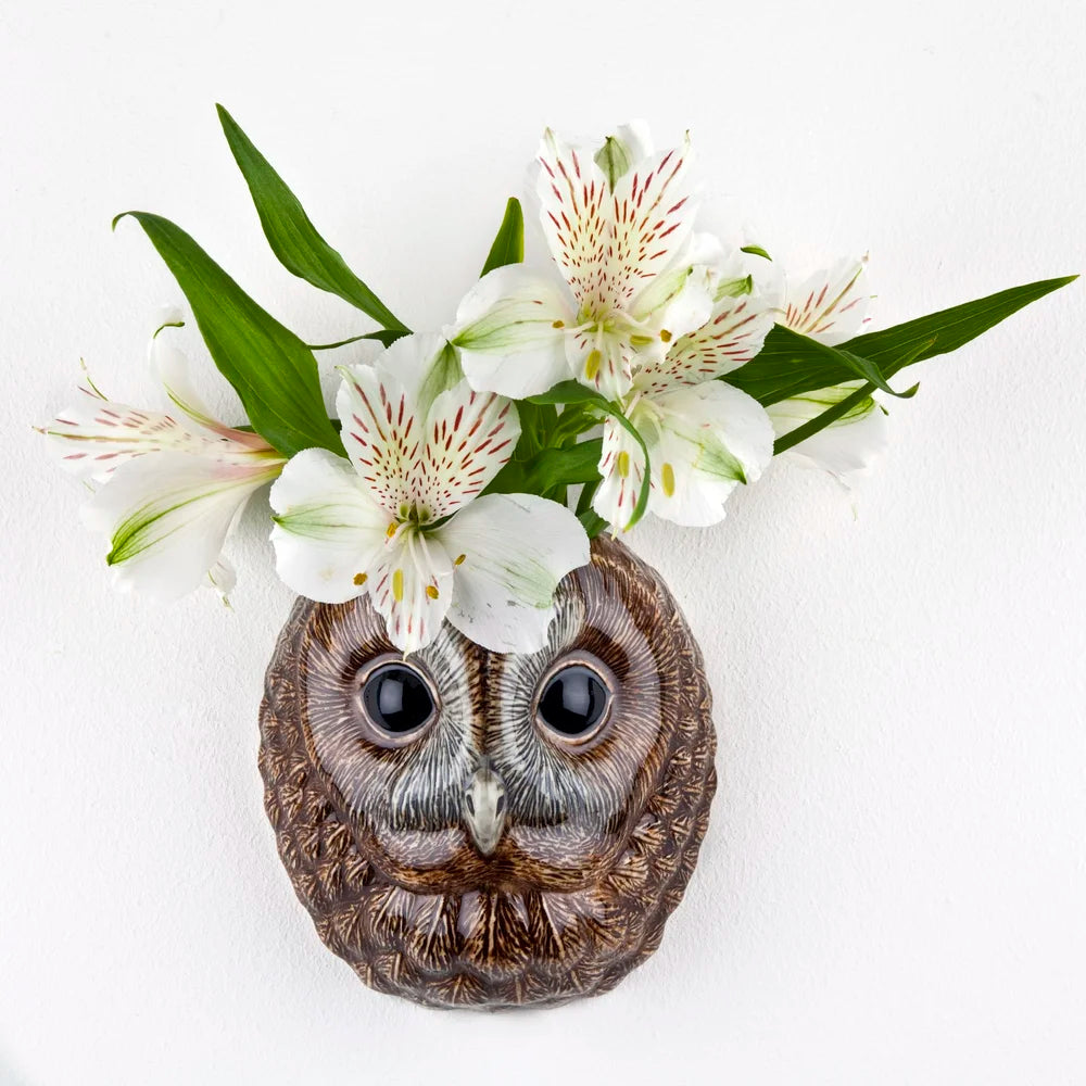 Veggvasi - Tawny Owl