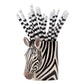 Ílát - Zebra