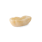 Skál - Oyster