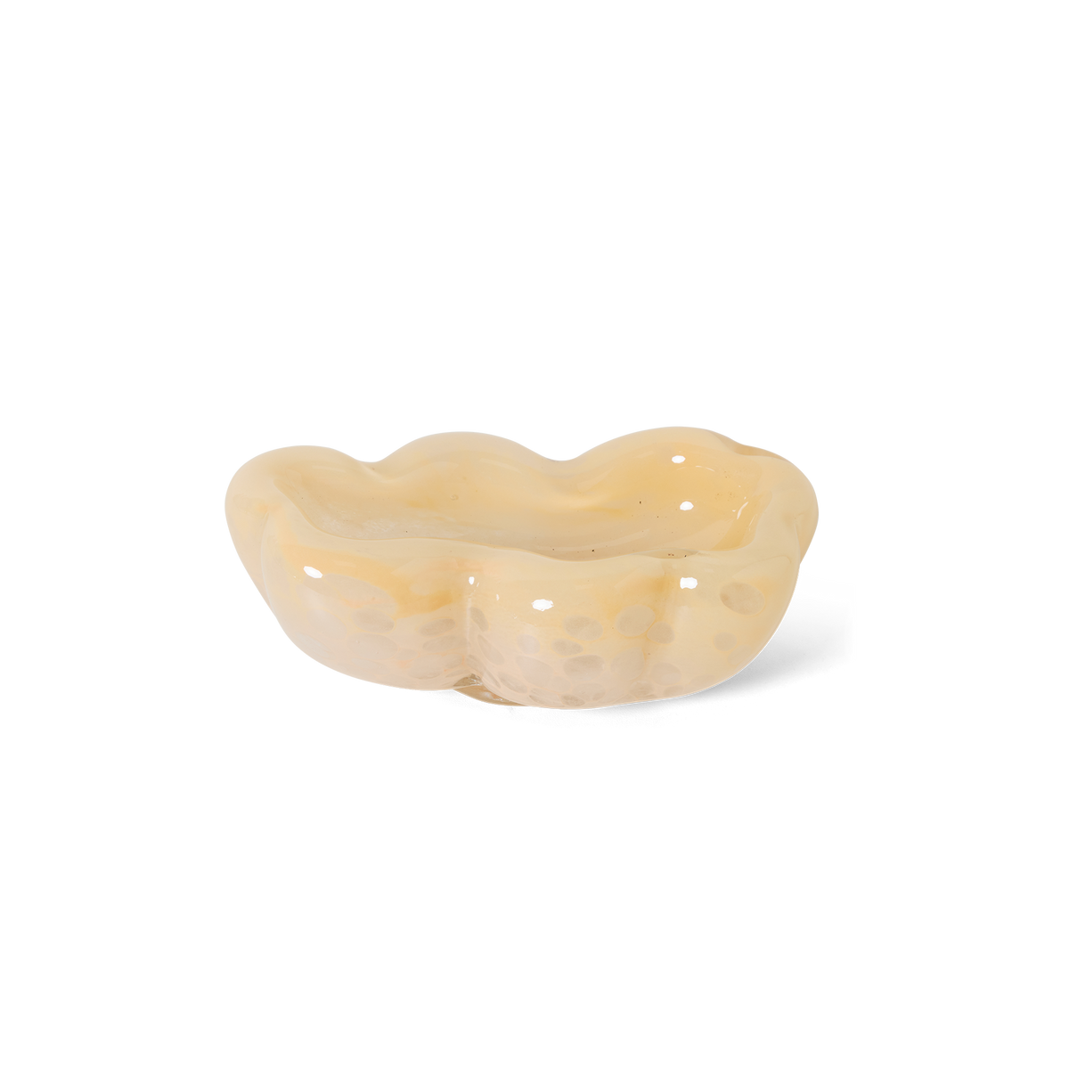 Skál - Oyster