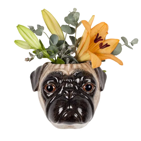 Veggvasi - Pug/Fawn