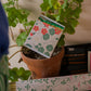 Eldspýtur - Nasturtium Matches