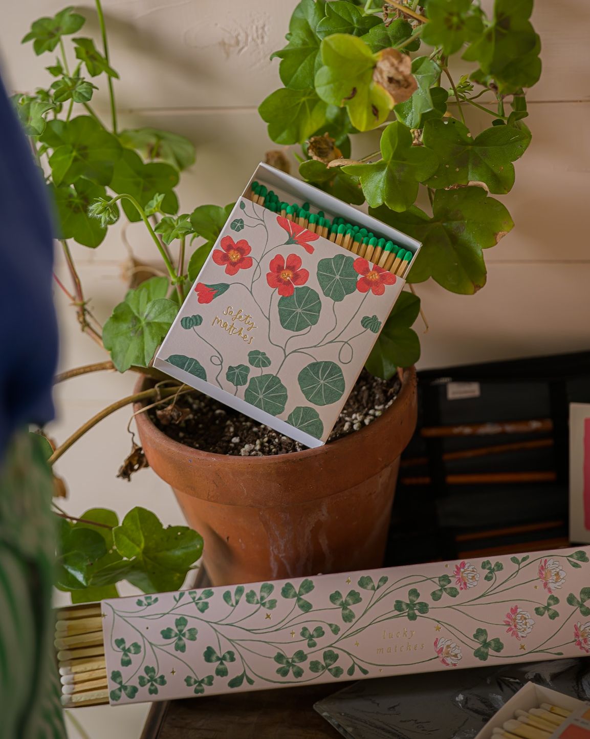 Eldspýtur - Nasturtium Matches