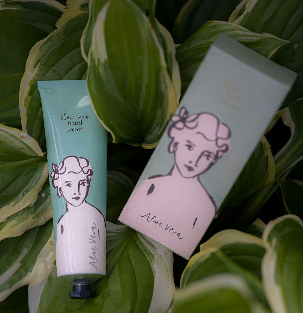 Handáburður - Aloe Vera
