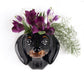 Veggvasi - Dachshund