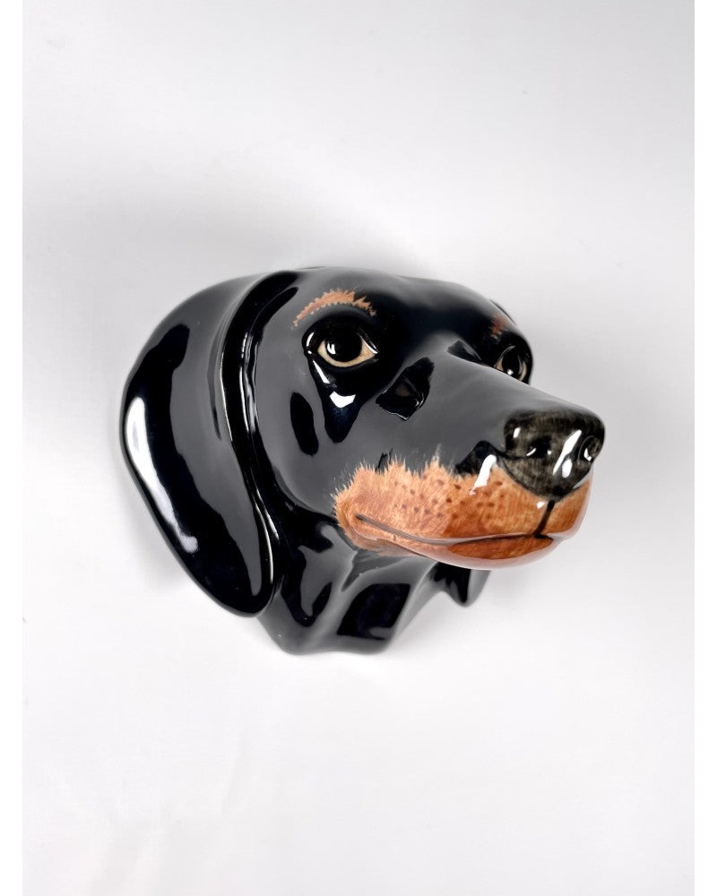 Veggvasi - Dachshund
