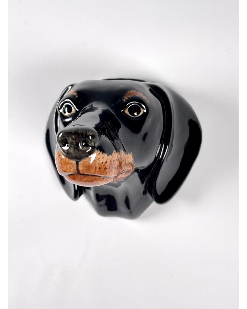 Veggvasi - Dachshund