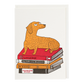 Kort - Bookshop Dog