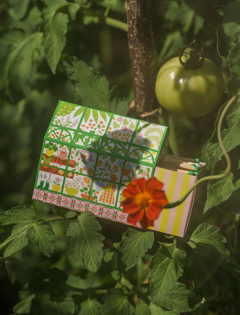 Eldspýtu hús - Greenhouse