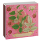Eldspýtur - Rose Framboise
