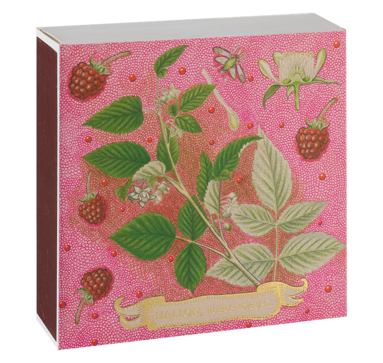Eldspýtur - Rose Framboise