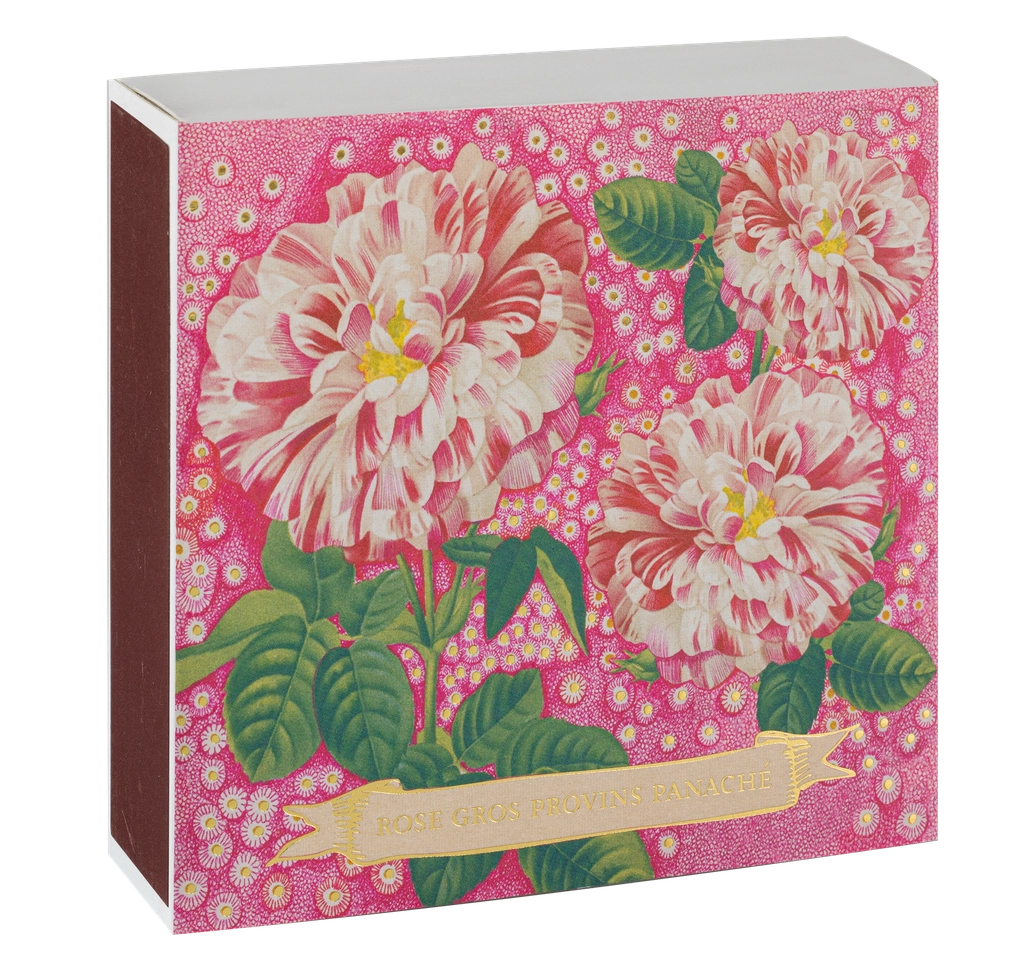 Eldspýtur - Rose Petunia