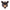 Veggvasi - Black bear